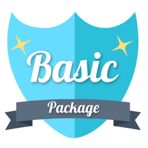 Basic SEO Package